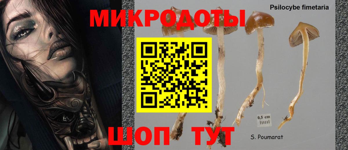 Рубцовск  Псилоцибиновые грибы мухоморы  Вход с VPN 